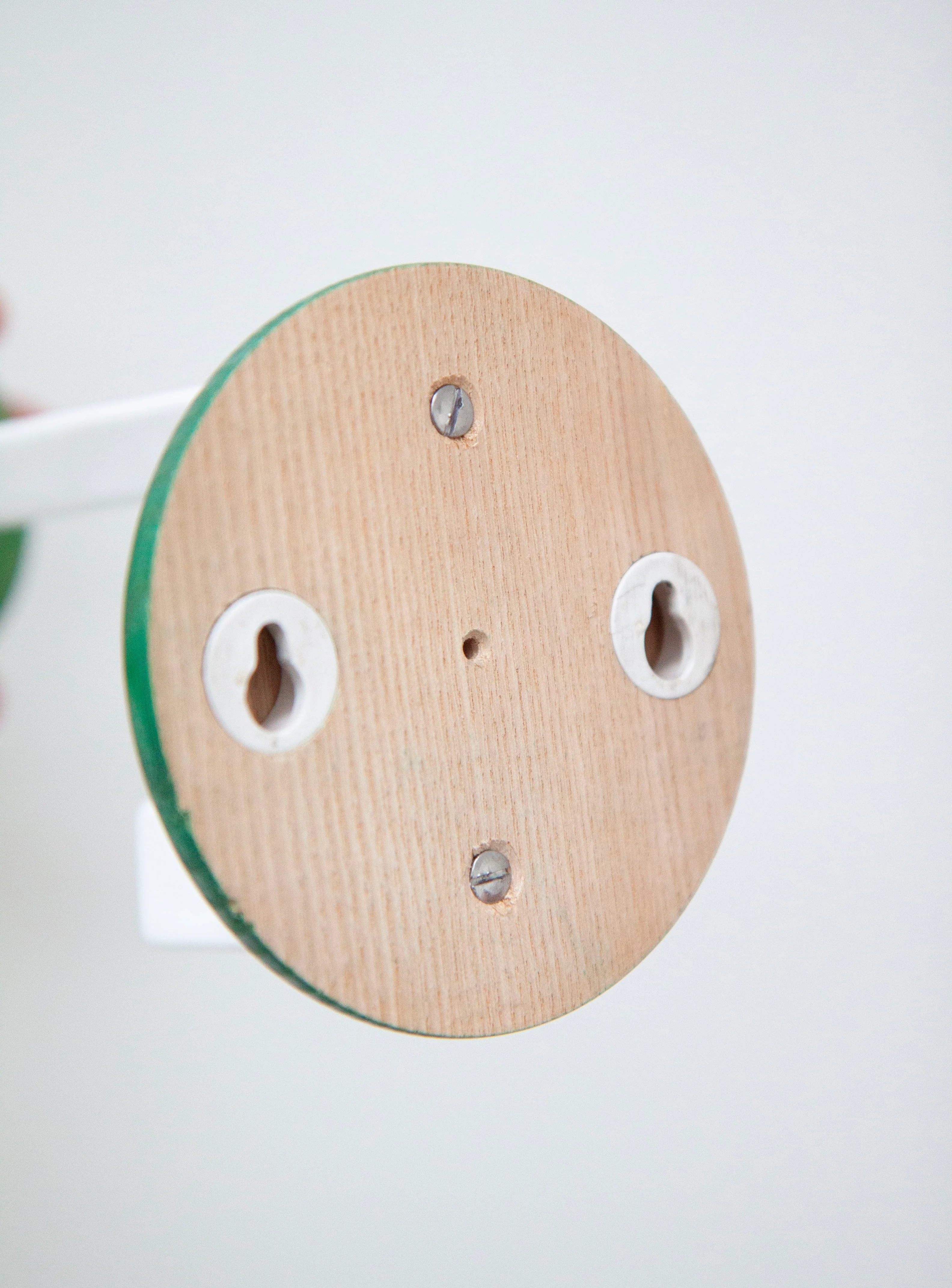 Schönbuch Coat Hanger (Green) - Image 11